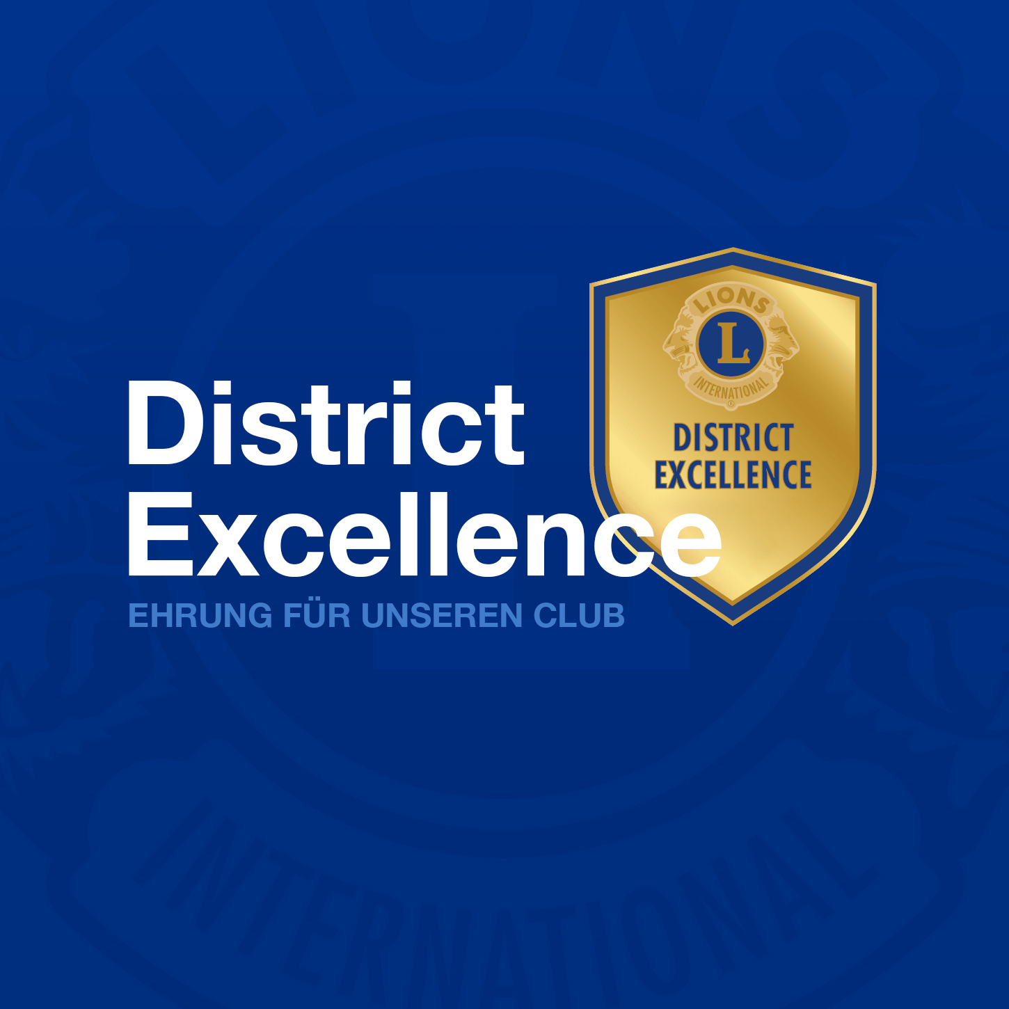 Lions Club Wittlich - District Excellence